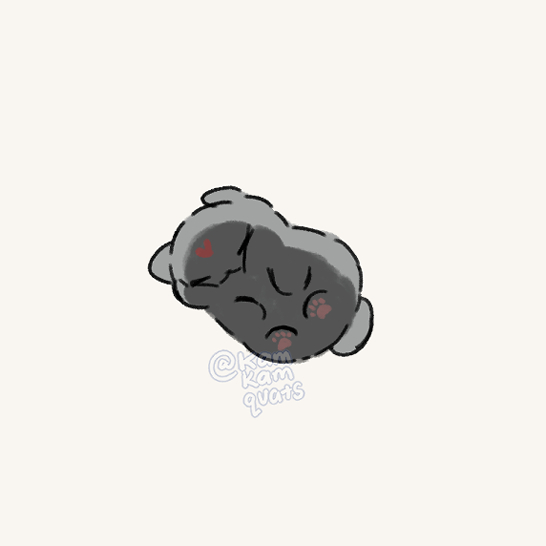 kamkamquats's tweet photo. an eepypup under glass for today's #dailybingpup 💤💤 https://t.co/rYYgOMELnI