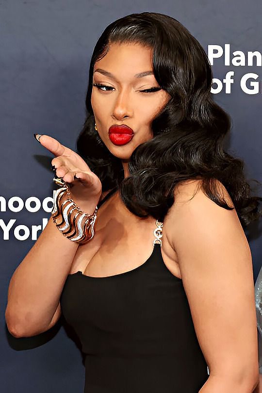 stallion_hub's tweet photo. Today, we celebrate “Megan Thee Stallion Day” in Houston, TX. 

— Houston's Mayor Sylvester Turner dedicated May 2nd as Megan Thee Stallion Day in honor of her philanthropic efforts.

#MeganTheeStallionDay https://t.co/Ddn8RTEzei