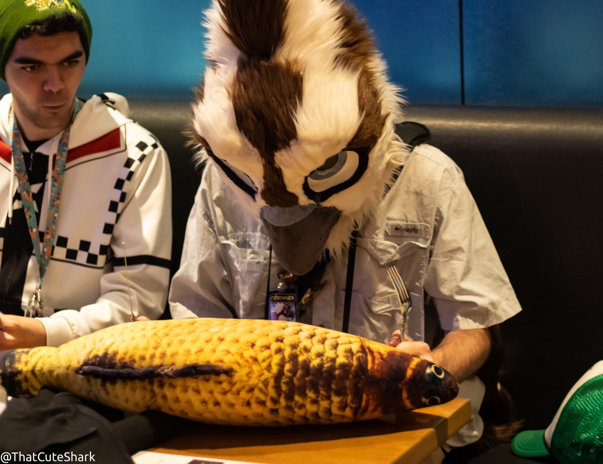 VenturaOsprey's tweet photo. Who all am i gonna be seeing at FWA next weekend!? #FursuitsFriday https://t.co/PuIbPbH72C