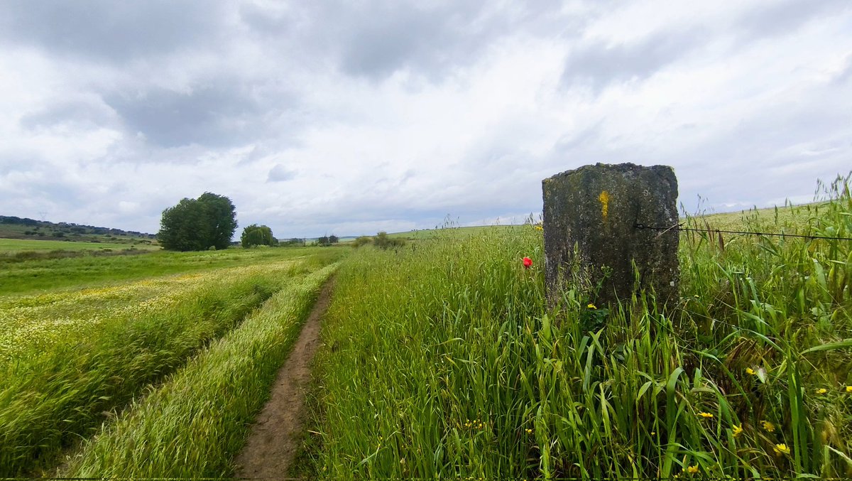raul_detena's tweet image. Días para recorrer la Vida...

#ReflectionTime #CaminoDeSantiago #VíaDeLaPlata