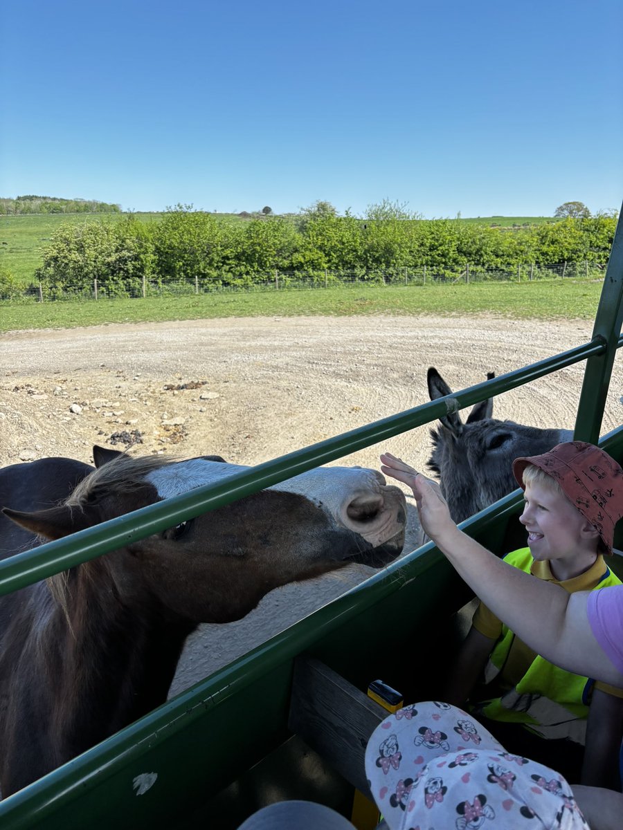 StPetersYear1's tweet photo. Lots of farm fun!🐴🌾 https://t.co/1j0IkqqIA3