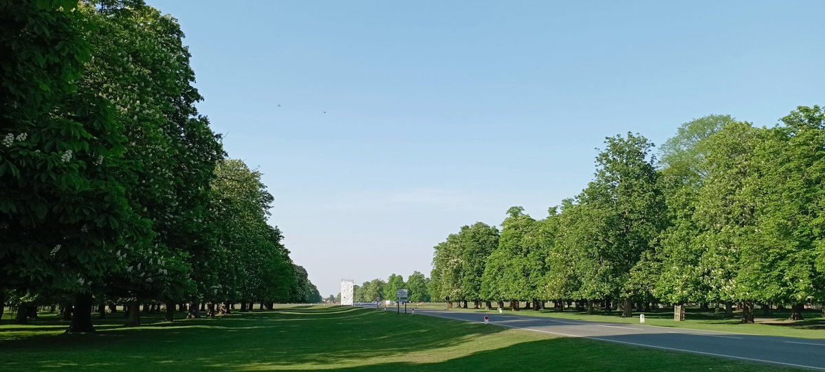 Wednesday #walking part 4: Bushy Park