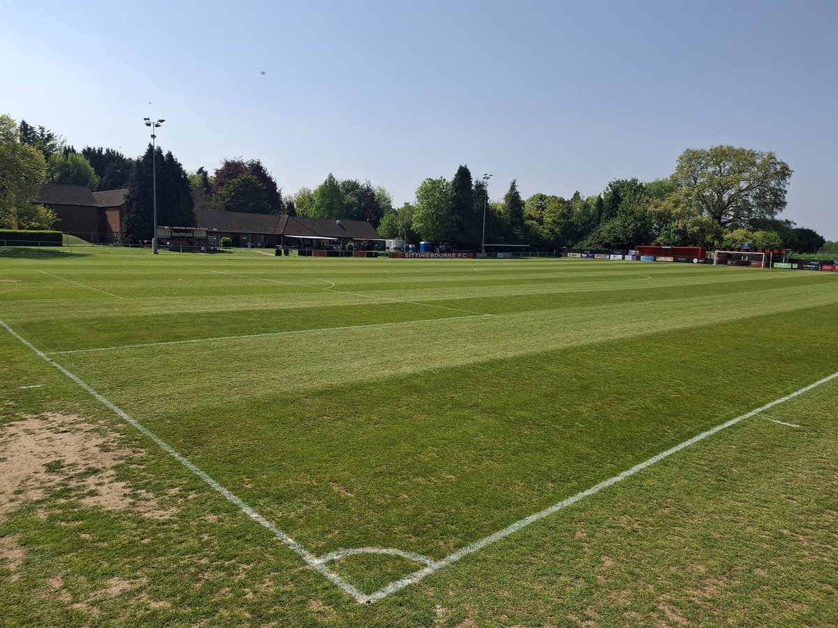 Scott's Pitch Care tweet media