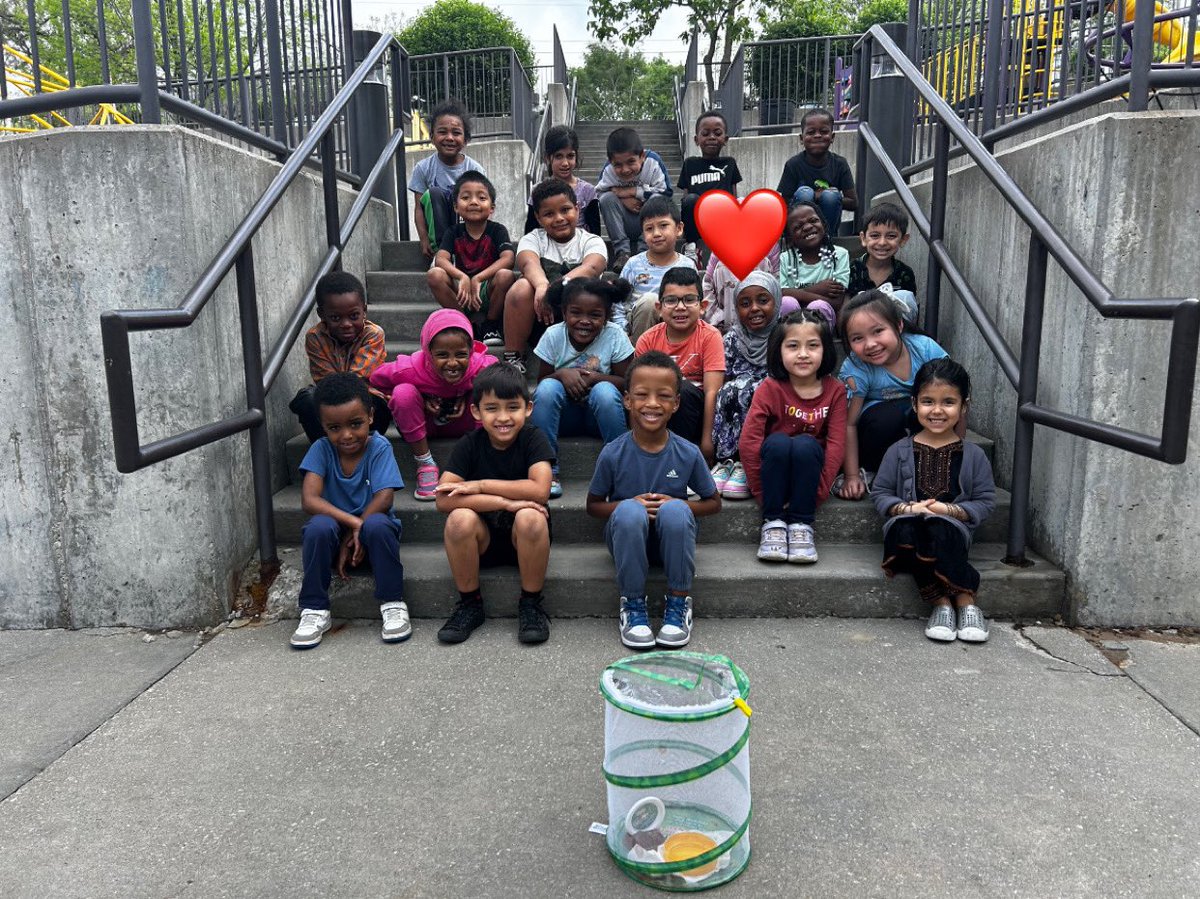 Kindergarten has been learning about lifecycles. Our class got to see baby chicks and butterflies hatch in the last week!
