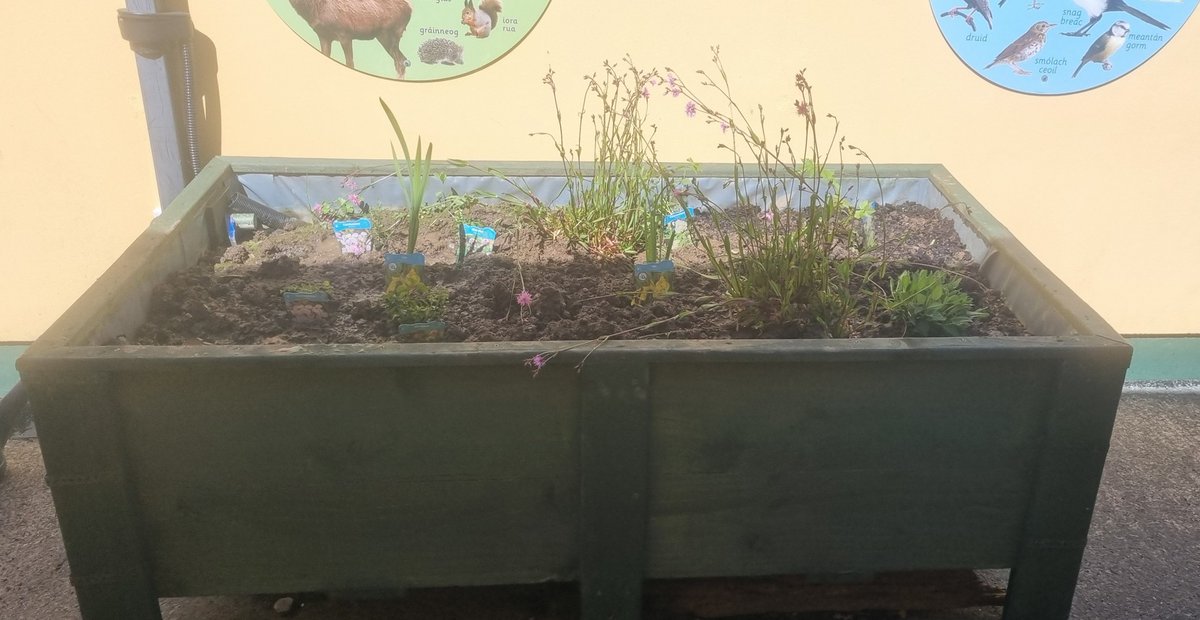 Kerry Biosphere Reserve tweet media