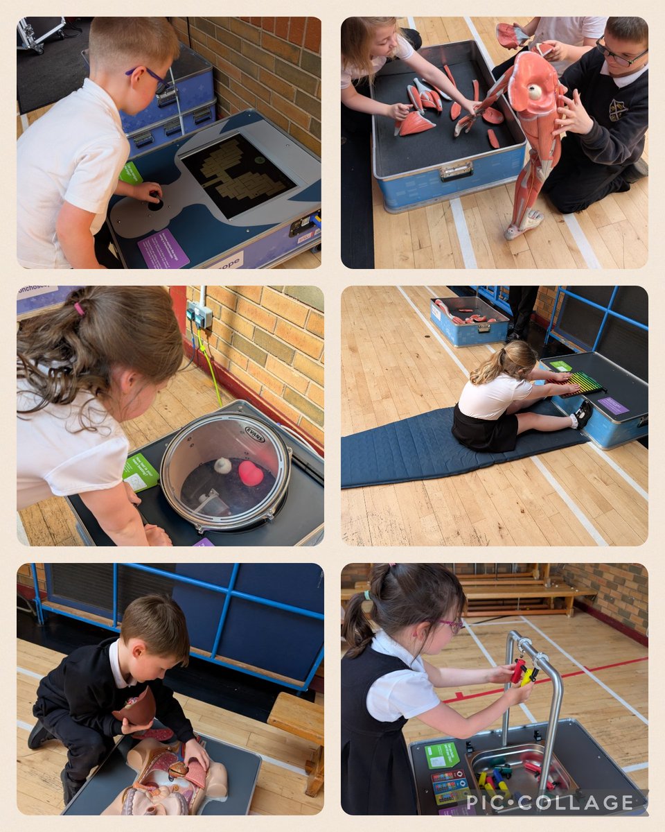 MrsSigurdsson's tweet photo. P2 had a brilliant time in their Science Centre workshop this week. They explored the human body, tried to improve their reaction times, used their coordination &amp; balance skills &amp; learned more about how our body's work 🧬 🧠 👁️ 🦵🏻💓  #DunipaceSTEM @gsc1 https://t.co/w2dwMCZXjr