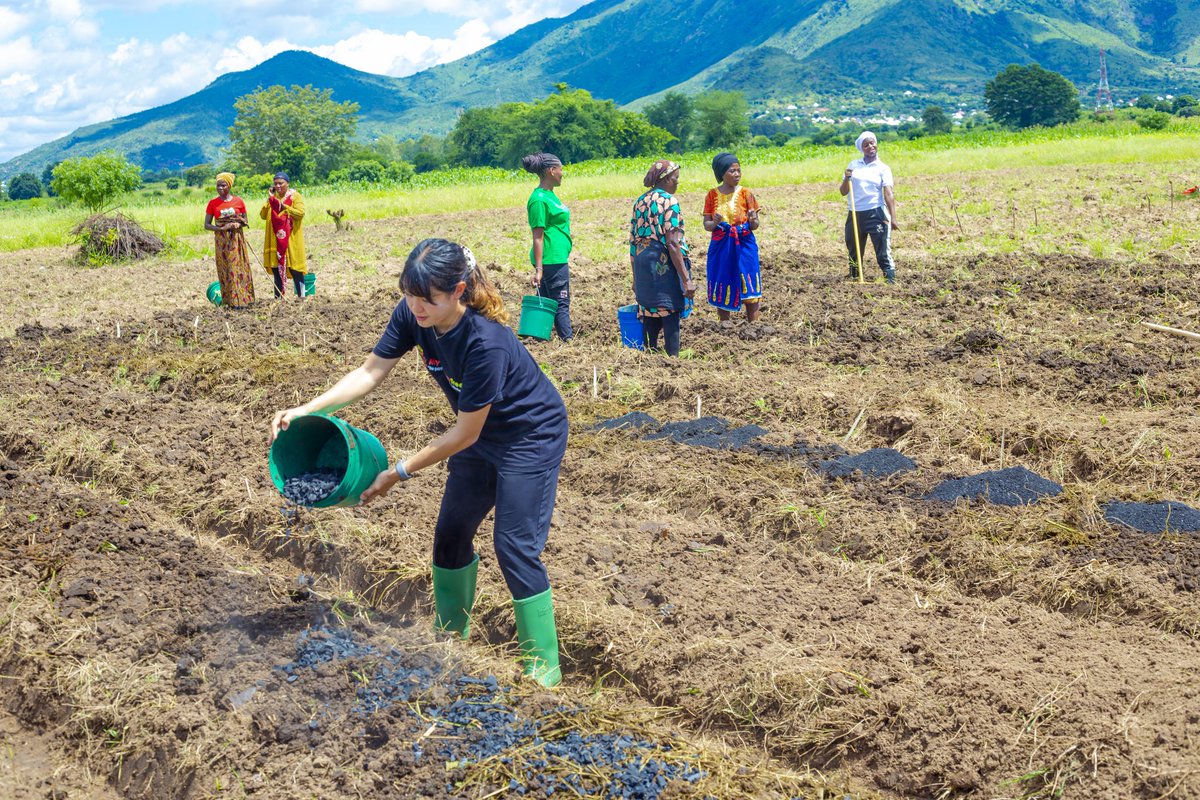 Captured in the heat of moment: 

Sweat, grit, and determination pushing limits and making it happen 🌎 💚

#bepartofsolutionnotpollution #SyntropicAgroforestry
#ApopoHeroTree