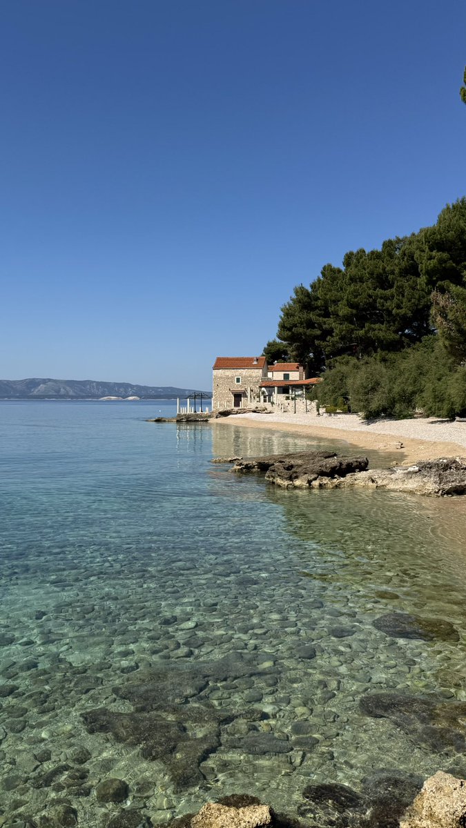 Marko Boko tweet media