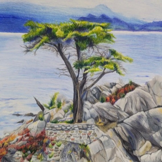 Richardson ISD tweet media