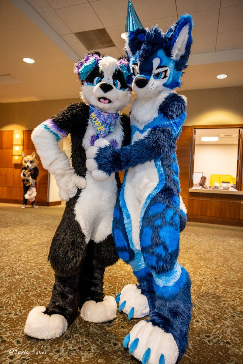 Hope Collie π FWA (@hopecollie) on Twitter photo Do me a favor: Go buck up and encourage some friend who needs it today. πππ <a href="/skeelshusky/">Shiny Hoosk πMehaplex</a> #FursuitFriday Do me a favor: Go buck up and encourage some friend who needs it today. πππ <a href="/skeelshusky/">Shiny Hoosk πMehaplex</a> #FursuitFriday