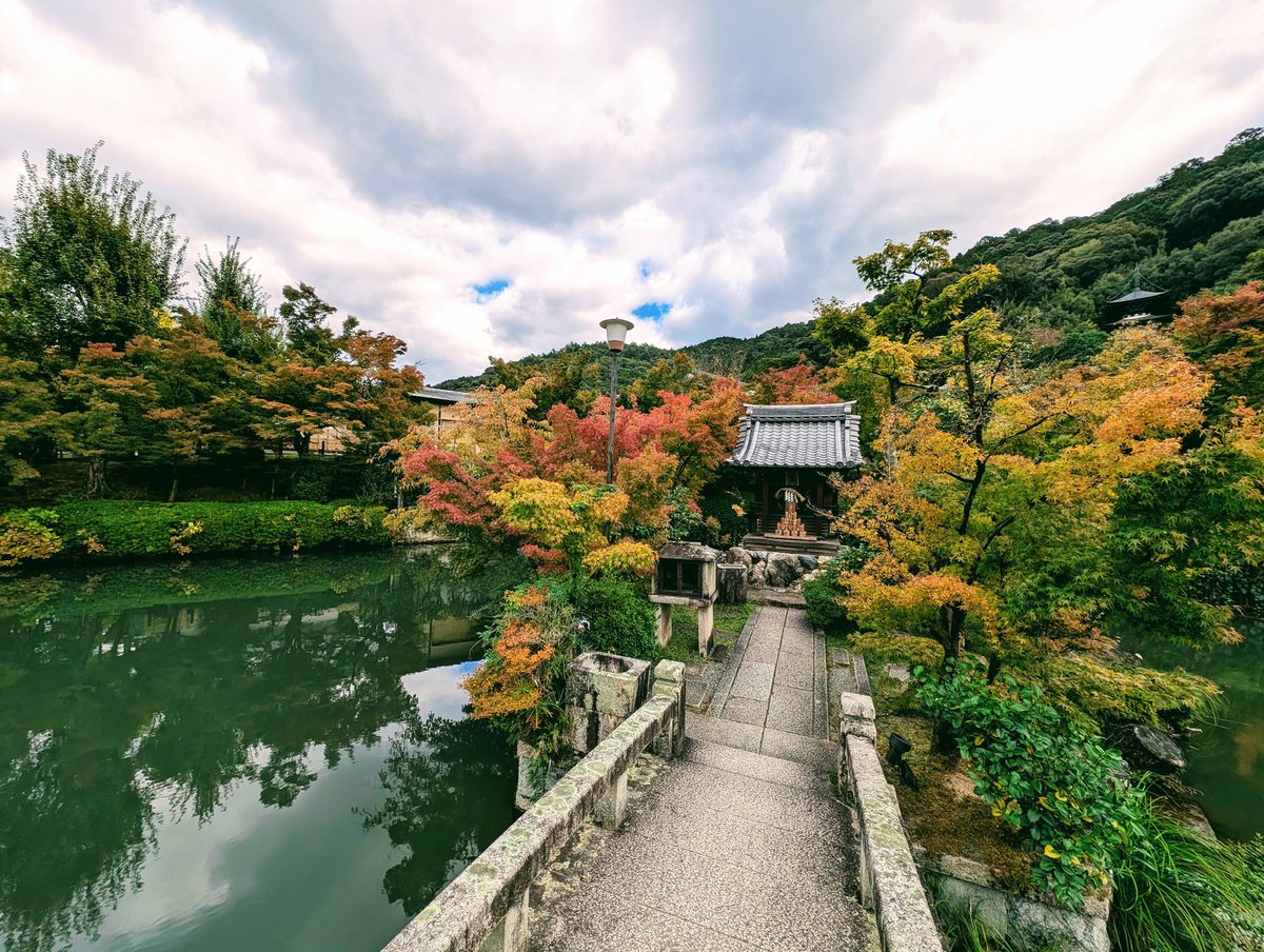 #autumn #KYOTOGRAPHIE #kyoto #Japan #photography #PHOTOISM #photos #travel #travelphotography #voyage #NaturePhotography #nature #color #GoodMorning