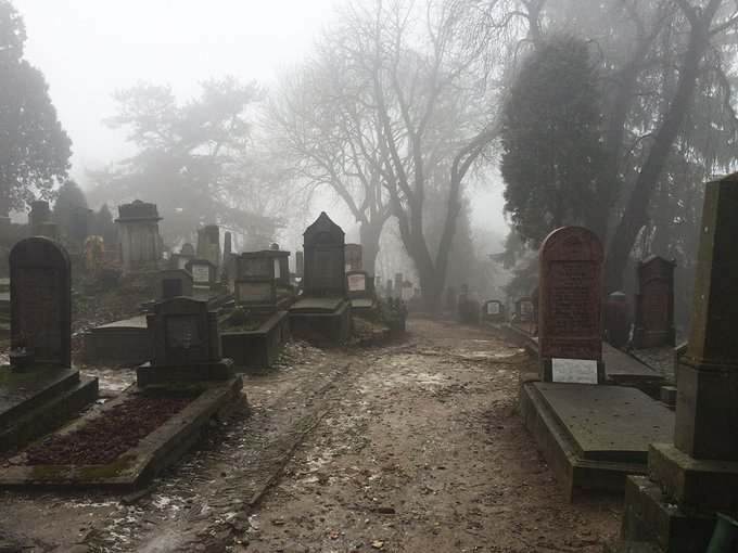 #VAMPIRE SLAYING This poetic scene in Anne Crawford's 1886  tale pre-dates Dracula:
I looked at that white breast, but only to choose the loveliest spot, the network of azure veins shimmered, with one blow I drove the pointed stake deep down through the breathing snow.