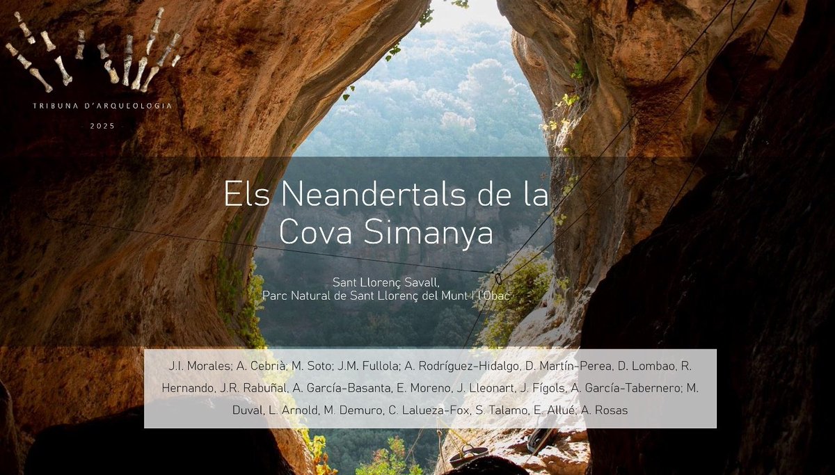 Juan I Morales (@jimorales12) on Twitter photo Dimecres de <a href="/TribunadArq/">Tribuna d'Arqueologia</a> 2025! Vam presentar els Neandertals de la Cova Simanya!
Gràcies a <a href="/gencat/">Generalitat de Catalunya</a> <a href="/macarqueologia/">Museu d'Arqueologia de Catalunya</a> <a href="/diba/">Diputació de Barcelona</a> <a href="/xarxadeparcs/">Xarxa de Parcs Naturals</a> i tots els que ens van acompanyar a conèixer els treball que estem desenvolupant!!👇👇👇 Dimecres de <a href="/TribunadArq/">Tribuna d'Arqueologia</a> 2025! Vam presentar els Neandertals de la Cova Simanya!
Gràcies a <a href="/gencat/">Generalitat de Catalunya</a> <a href="/macarqueologia/">Museu d'Arqueologia de Catalunya</a> <a href="/diba/">Diputació de Barcelona</a> <a href="/xarxadeparcs/">Xarxa de Parcs Naturals</a> i tots els que ens van acompanyar a conèixer els treball que estem desenvolupant!!👇👇👇