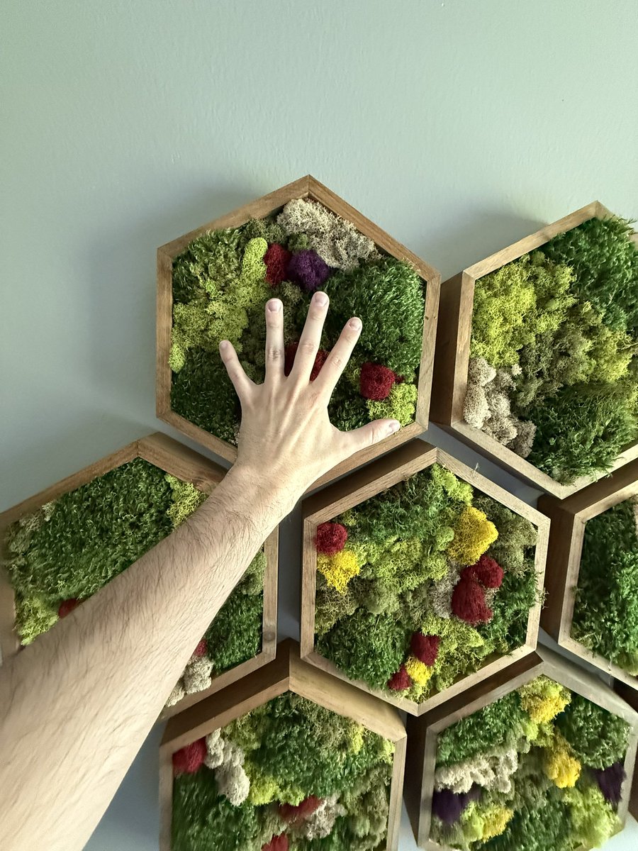 Preserved moss wall art I made. Hand for scale.