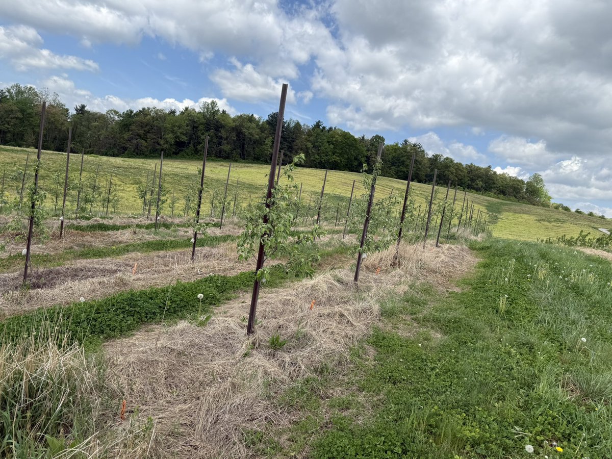 Beautiful day for field research at PSU FREC