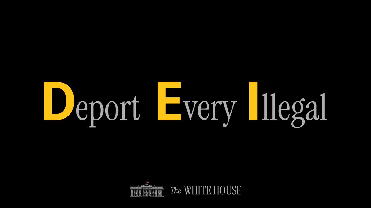 The only DEI we support: Deport Every Illegal ✈️