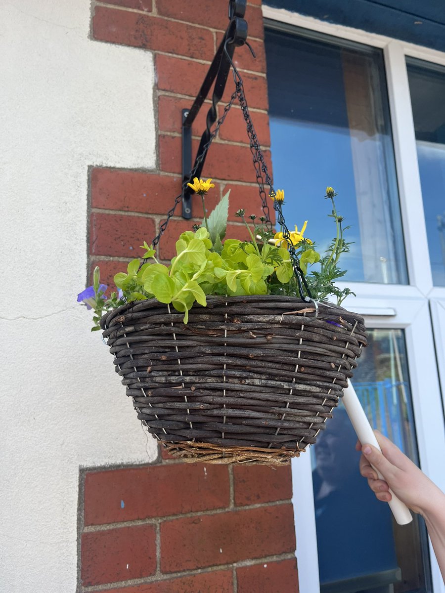 Diolch yn fawr to our Eco Committee encouraging biodiversity around the school grounds.🌺🌼🐝