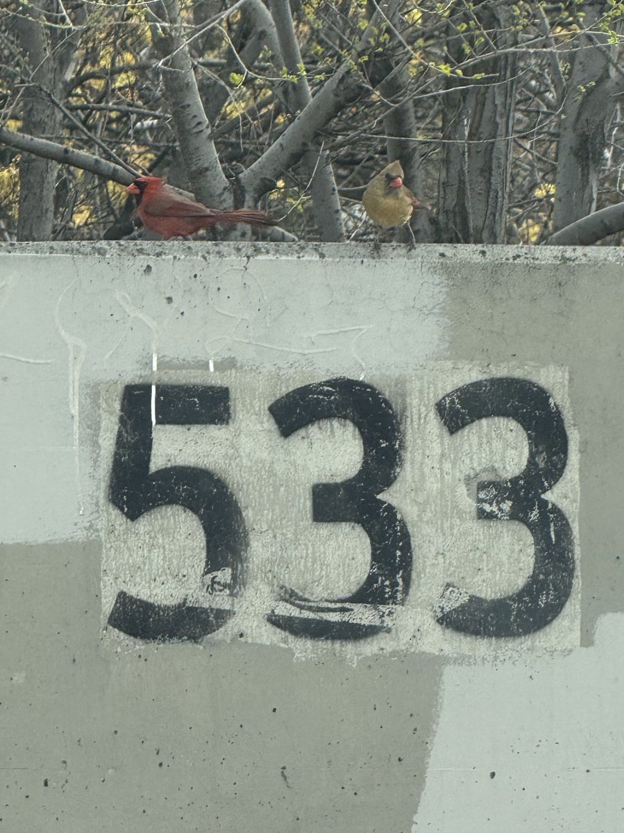 BODYBUZZRECS tweet media