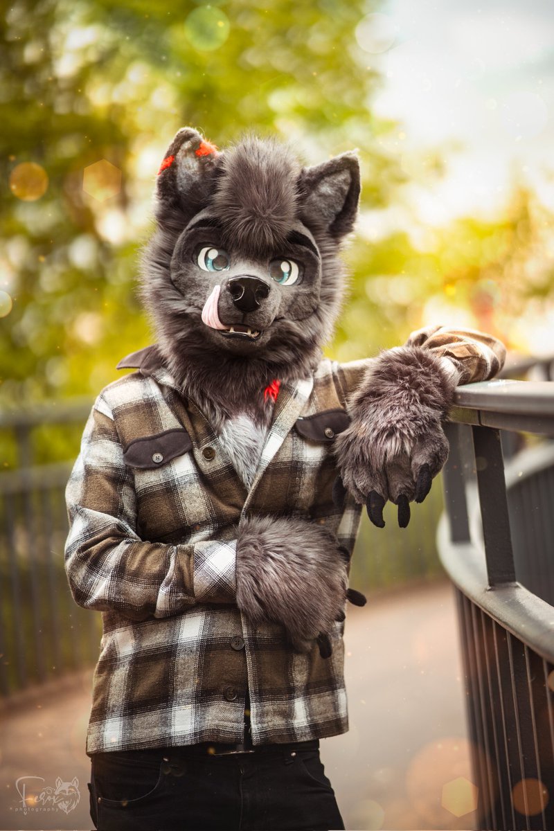 Karex (@karex_wolf) on Twitter photo Happy #fursuitfriday π
π·: <a href="/xferoxy/">Ferox β¨ π EAST</a>
πΊ: me
#fursuiting #fursuits #fursuitphotography #fursuitwalk Happy #fursuitfriday π
π·: <a href="/xferoxy/">Ferox β¨ π EAST</a>
πΊ: me
#fursuiting #fursuits #fursuitphotography #fursuitwalk