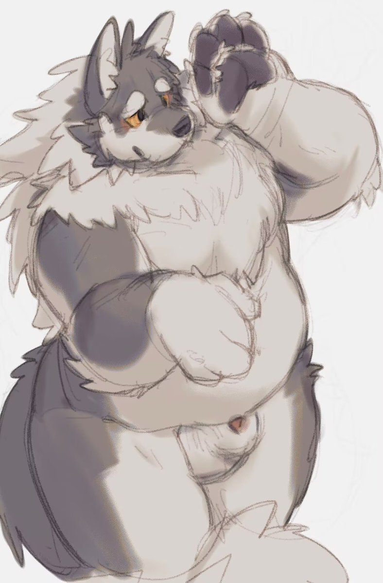 卡文老师的美图❤️