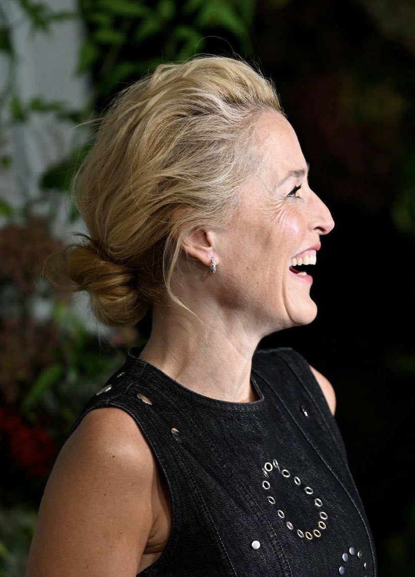 best of gillian anderson tweet media