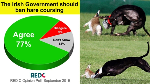 Are you in the Dublin Bay South constituency? Contact your TDs and tell them that you want hare coursing and fox hunting banned oireachtas.ie/en/members/tds… #Ballsbridge #Donnybrook #HaroldsCross #Portobello #Ranelagh #Rathfarnham #Rathmines #Ringsend #Sandymount #Terenure