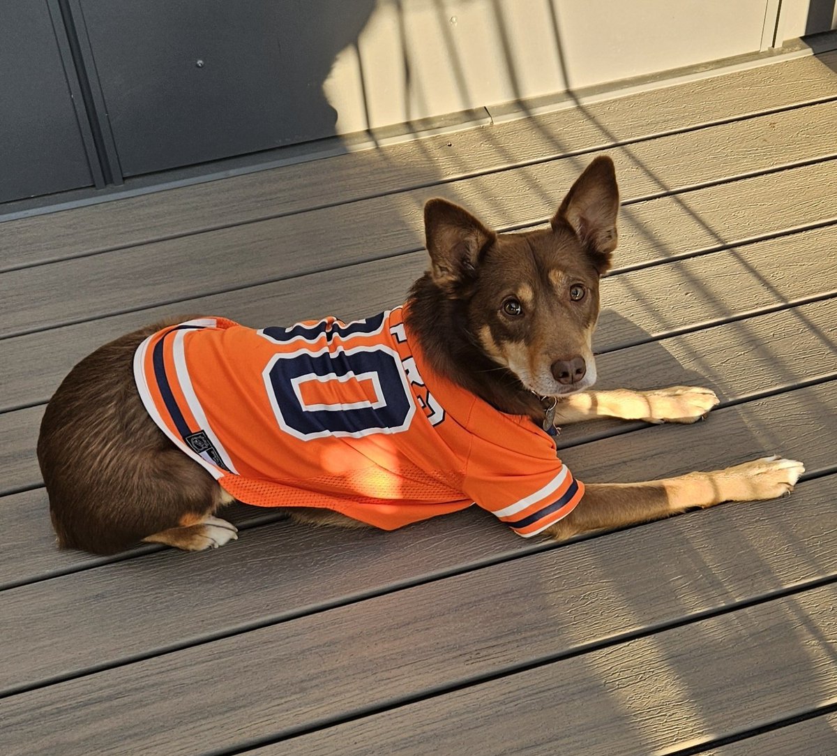 Here's lookin' at you, Round 2.

#LetsGoOilers