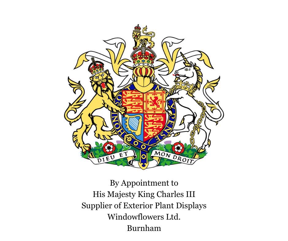 Proud to announce that Windowflowers have received the royal warrant from His Majesty The King as supplier of exterior plant displays.
