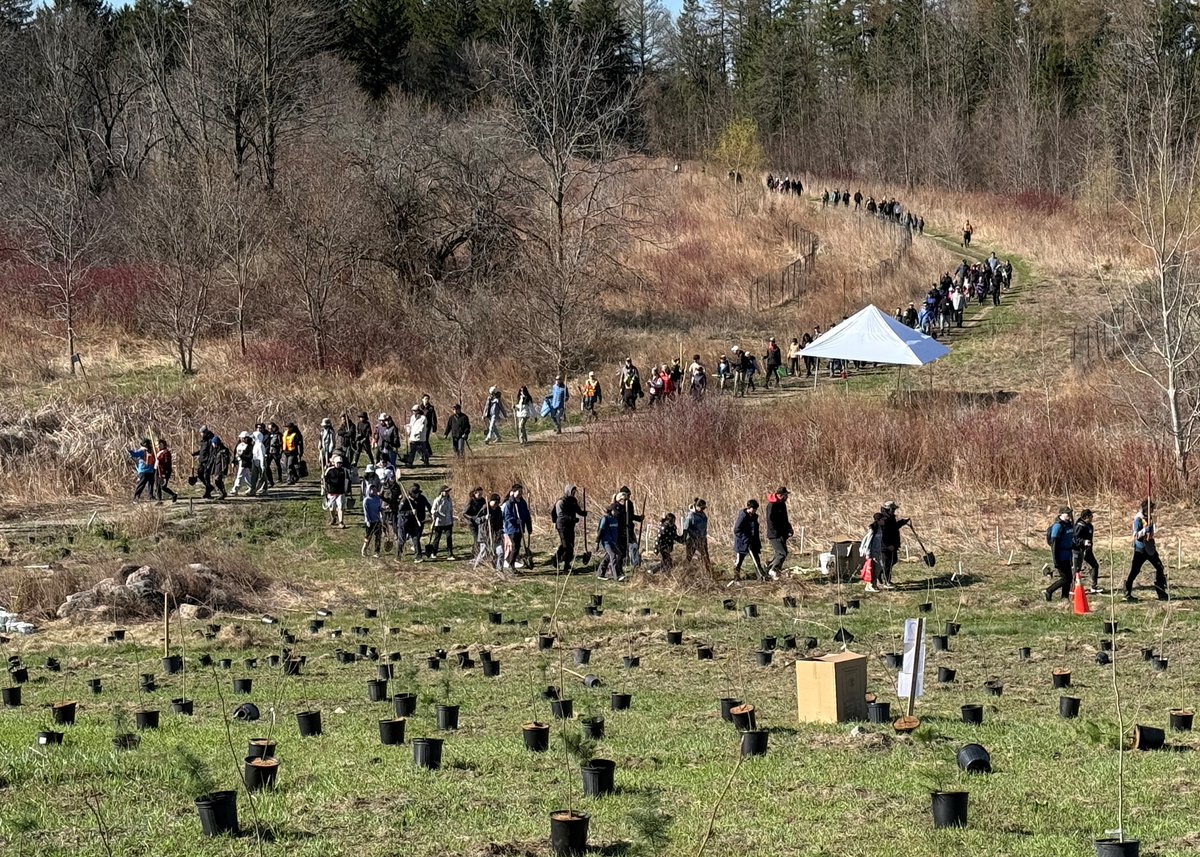 Mayor Frank Scarpitti (@frankscarpitti) on Twitter photo For over 35 years, <a href="/10ktrees/">10,000 Trees for the Rouge</a> has restored hundreds of acres of delicate watershed areas by planting 400,000+ native trees, bushes, and wildflowers. Gratitude to Chairman Robert Roszell, thousands of volunteers, and supportive sponsors for ongoing planting & restoration efforts. For over 35 years, <a href="/10ktrees/">10,000 Trees for the Rouge</a> has restored hundreds of acres of delicate watershed areas by planting 400,000+ native trees, bushes, and wildflowers. Gratitude to Chairman Robert Roszell, thousands of volunteers, and supportive sponsors for ongoing planting & restoration efforts.