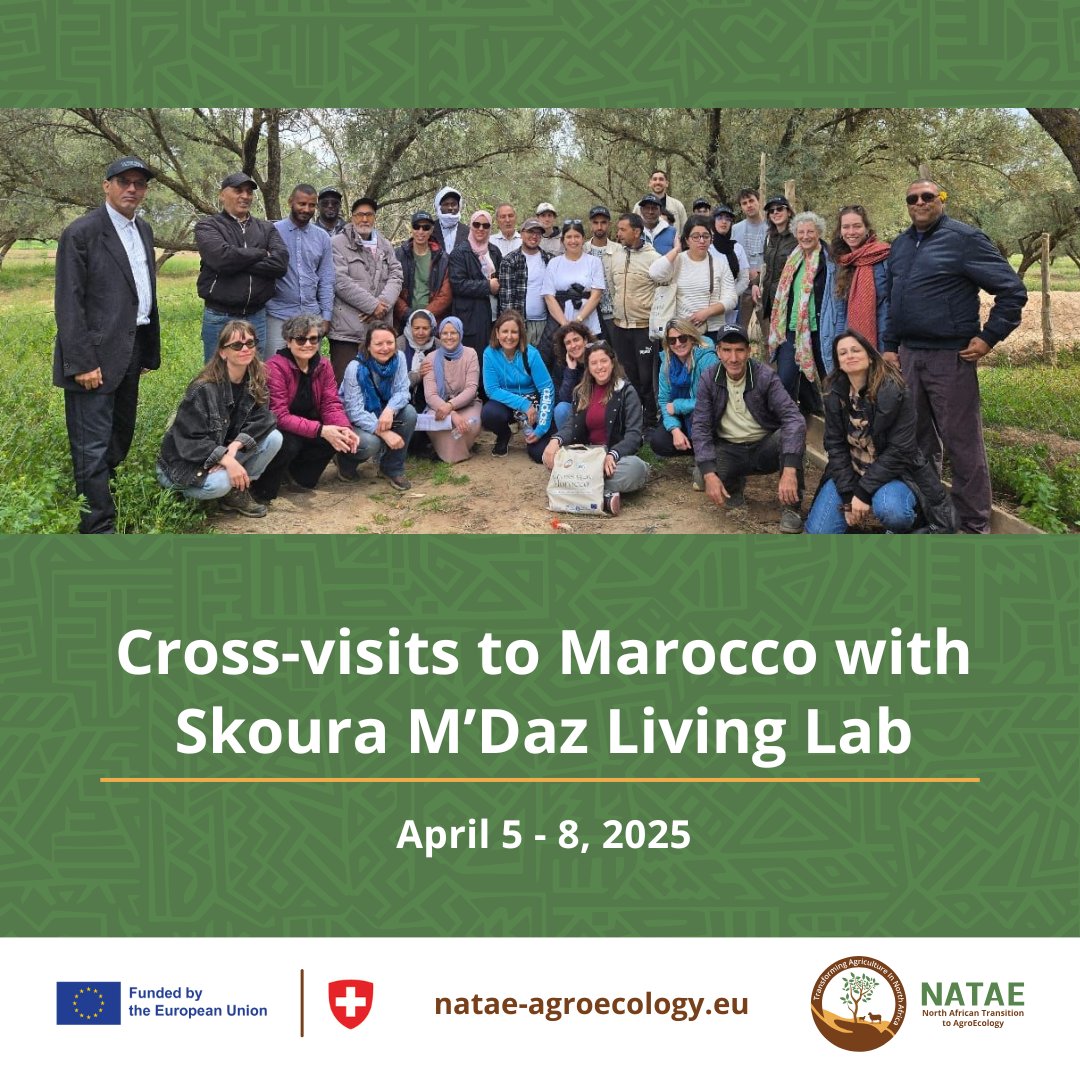 natae_HE's tweet photo. 🌿 From April 5–8, the Skoura M’Daz Living Lab (Morocco) welcomed farmers &amp; researchers from 6 countries as part of the #NATAE

Focus: 🌱 Agroecology, 🌸 Medicinal plants, 👩‍🌾 Women’s empowerment.

Learn more: https://t.co/h5ehHJZUD0

#Agroecology #CrossLearning https://t.co/fbUGc5fI1z