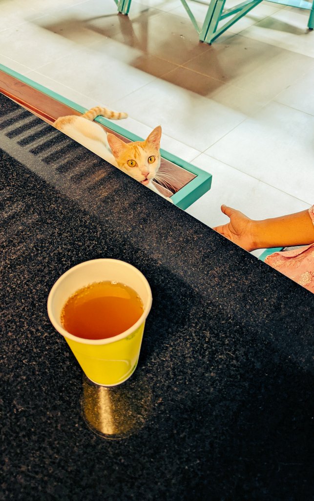 _cuckoos_nest_'s tweet photo. #Icetea date https://t.co/P8kgMWJqoA