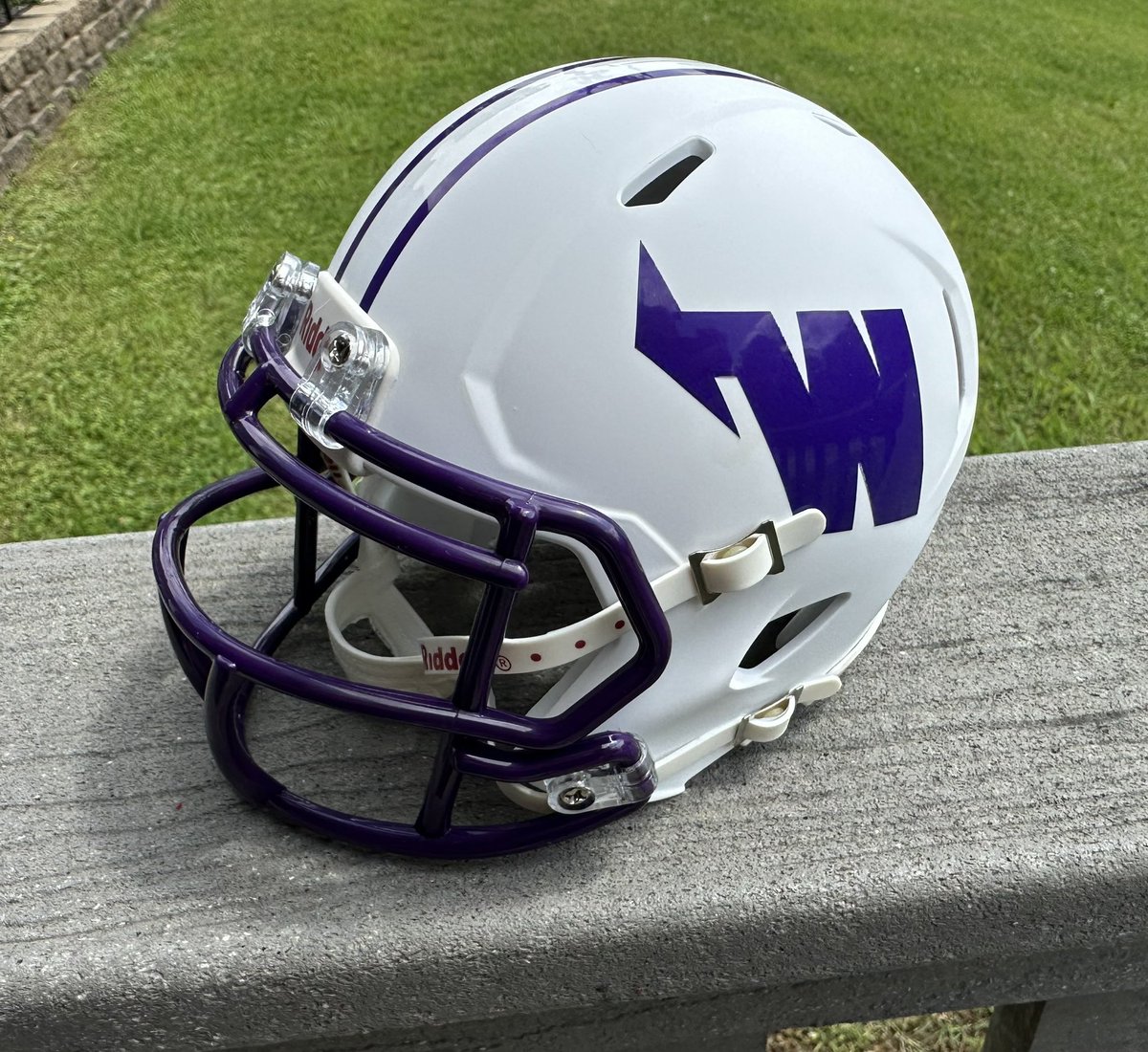 GarrettWhitford's tweet image. Newest built mini helmet to the FCS collection, @weberstatefb of the @BigSkyFB conference.  @OptaAnalystFCS @The__Bluebloods @FCSNationRadio1 @NCAA_FCS #minihelmetcollection #makingminihelmets