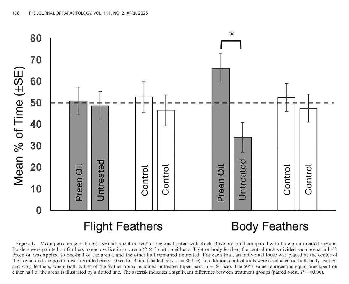 AmSocParasit's tweet image. New in the Journal of Parasitology:
The Impacts of Rock Dove (Columba livia) Preen Oil on Wing Louse (Columbicola columbae) Behavior and Survival
By Harbison, Abraham, Bertola, Celeste, Chhay, Cohen, Mangieri, and Rehman.
doi.org/10.1645/24-126