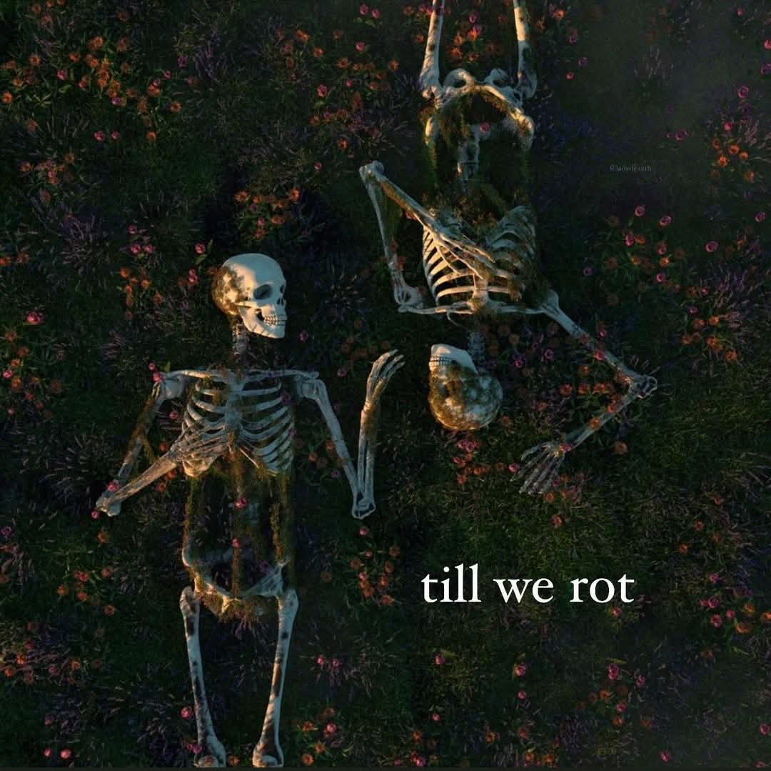 Scare crow (@pcraucamp) on Twitter photo 