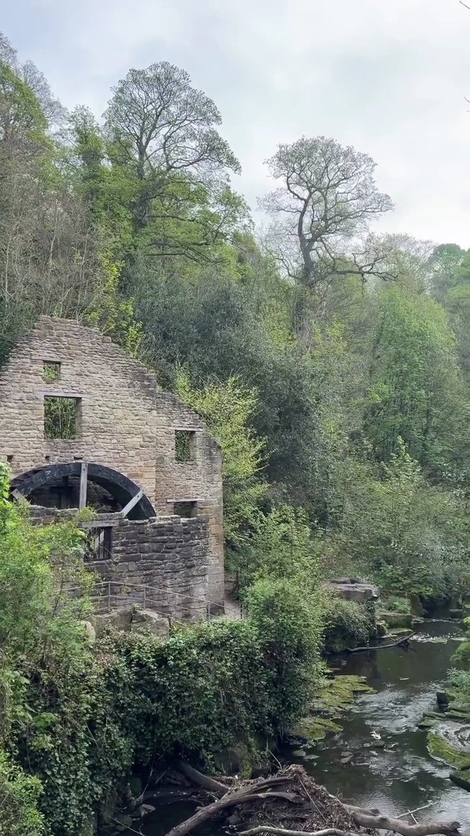 Jesmond Dene 🏴󠁧󠁢󠁥󠁮󠁧󠁿