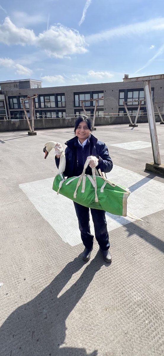 Herchy Boal tweet media