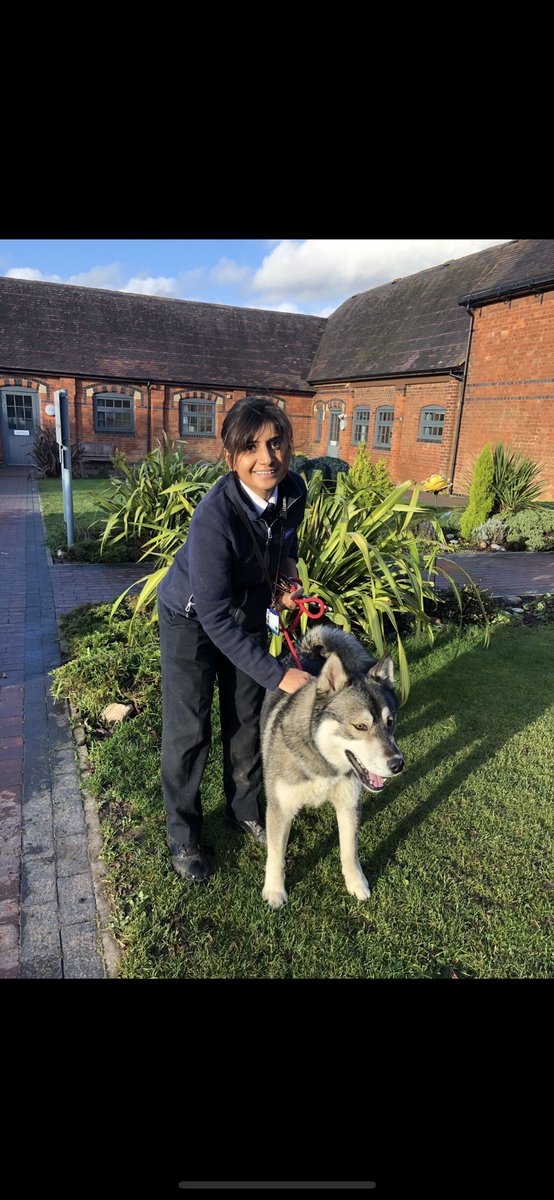 Herchy Boal tweet media