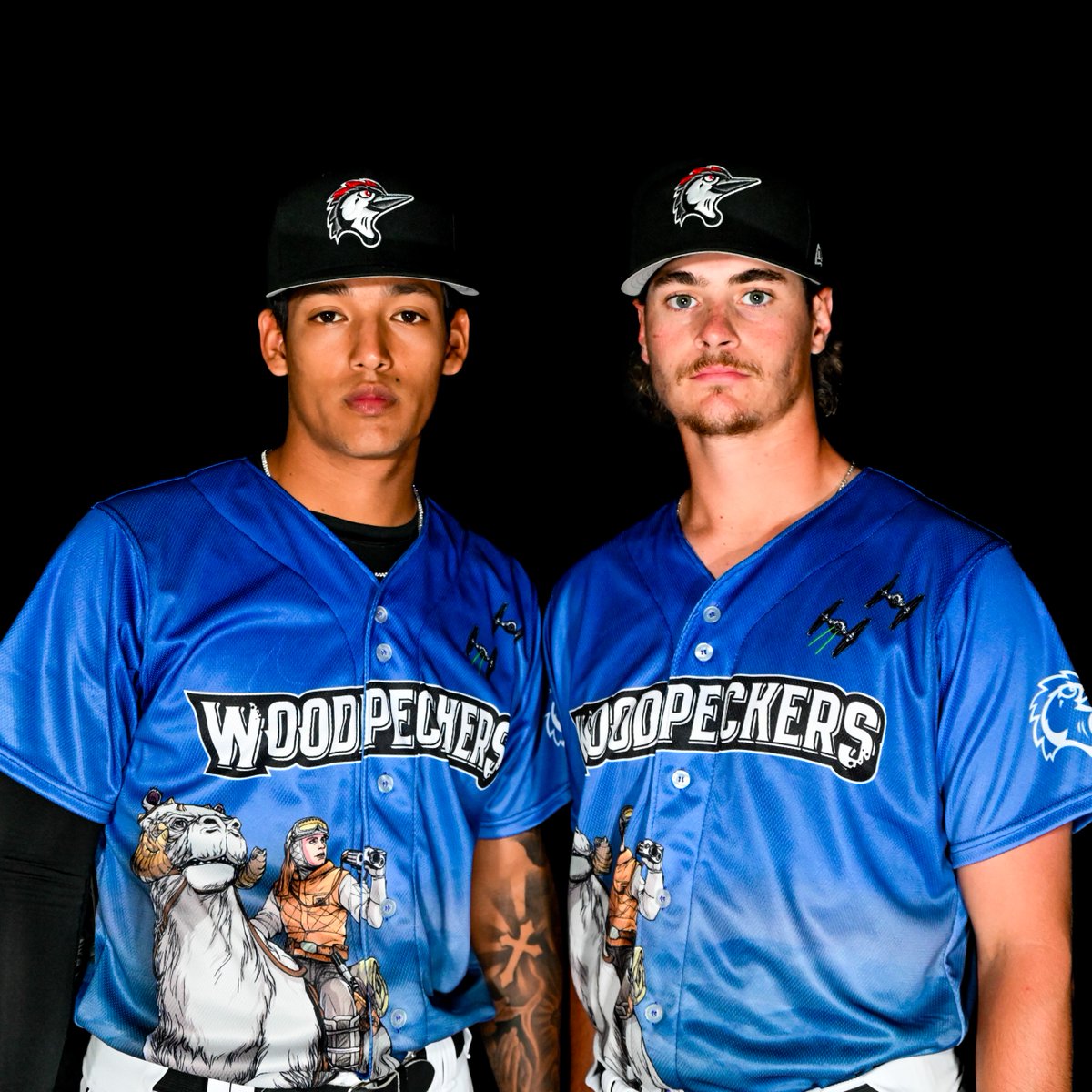 Fayetteville Woodpeckers tweet media