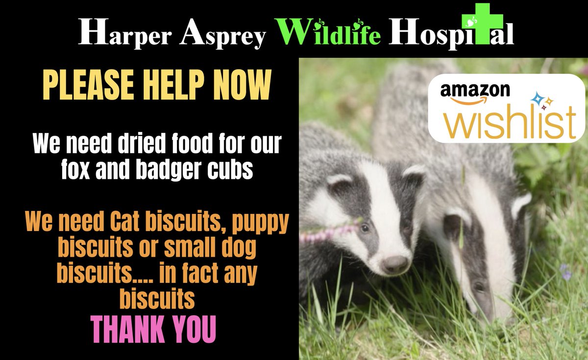 PLEASE HELP we need more food. We need dried food for our fox and badger cubs. We need cat , puppy and small or  large dog biscuits. THANK YOU  You can order from our amazon list or simply drop off at the rescue - we are ready &amp; waiting amazon.co.uk/hz/wishlist/ls…