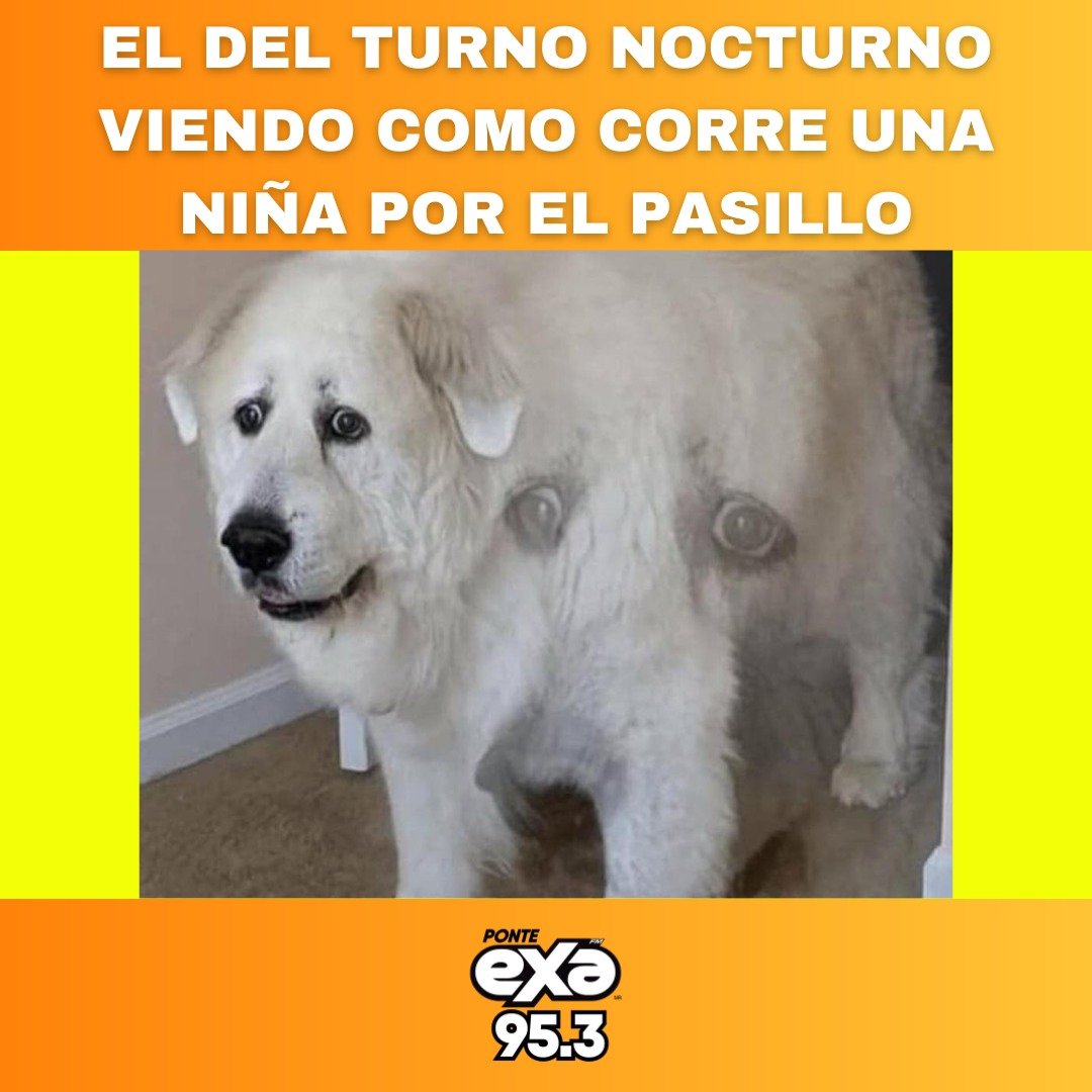 exafm_tampico's tweet image. 🤣🤣
•
•
•
#exafm #exameme