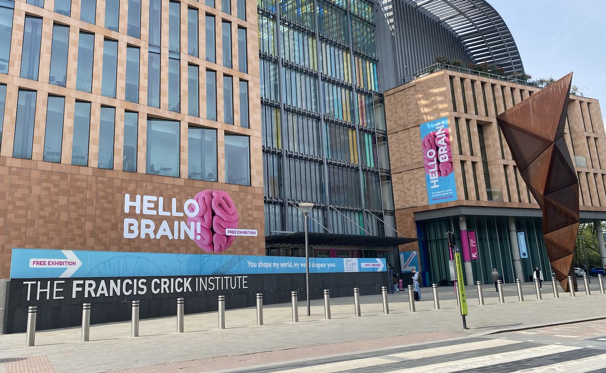 NoBlackBoxes (@noblackboxes) on Twitter photo Super excited to teach our 🤖💥 Tech Bootcamp for Life Science 💥🤖 at the Francis Crick Institute next week!
We’re diving into hands-on tech, circuits, AI, to help researchers:
➡️ Build skills
➡️ Run smarter experiments
➡️ Rethink their tools
Follow <a href="/NoBlackBoxes/">NoBlackBoxes</a> for more! Super excited to teach our 🤖💥 Tech Bootcamp for Life Science 💥🤖 at the Francis Crick Institute next week!
We’re diving into hands-on tech, circuits, AI, to help researchers:
➡️ Build skills
➡️ Run smarter experiments
➡️ Rethink their tools
Follow <a href="/NoBlackBoxes/">NoBlackBoxes</a> for more!
