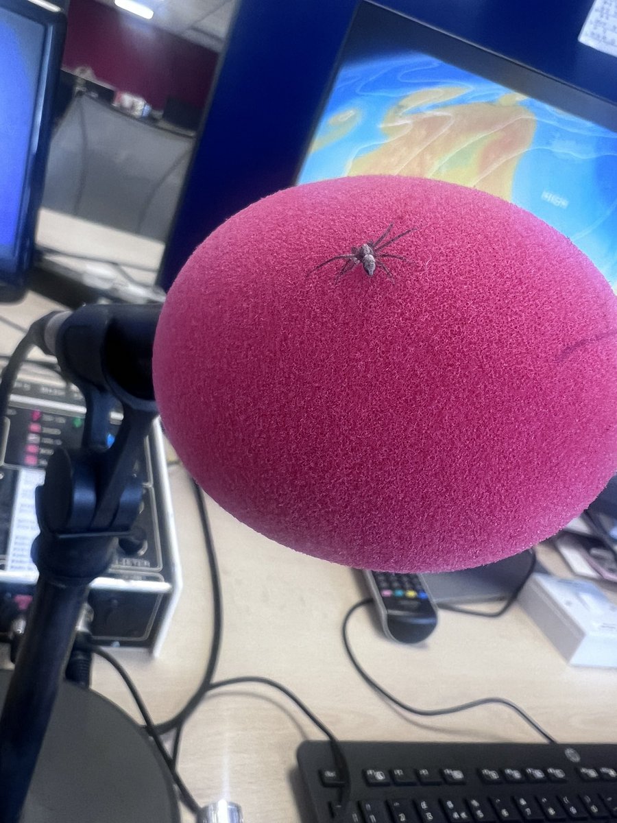 Anna Church (@annaweather) on Twitter photo Just what I needed seconds before going live on <a href="/BBCDerby/">BBC Derby</a> <a href="/BBCLeicester/">BBC Leicester</a> & <a href="/BBCNottingham/">BBC Nottingham</a> 🕷️ Just what I needed seconds before going live on <a href="/BBCDerby/">BBC Derby</a> <a href="/BBCLeicester/">BBC Leicester</a> & <a href="/BBCNottingham/">BBC Nottingham</a> 🕷️