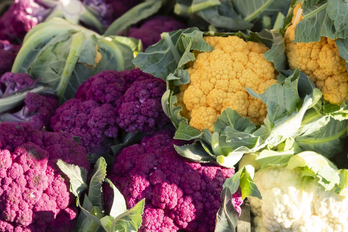 You can't beat all the farmers markets' colors! Whether you are looking for special herbs, unique vegetables or need an advice about your plants, there is no better place to go than your local market. 

#beavertonfarmersmarket