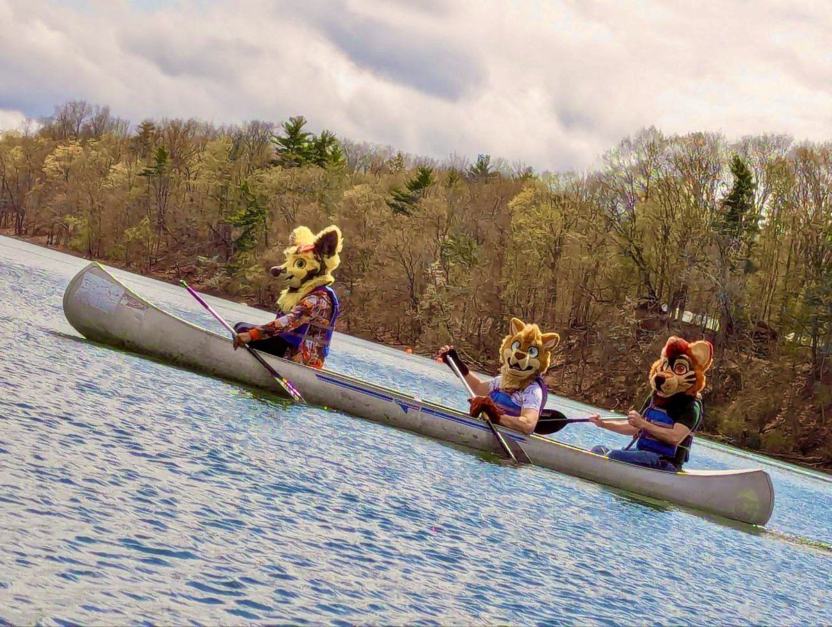 Arden WolfSky (@ardenwolfsky) on Twitter photo Awoo let’s go out and have an adventure ☀️
❤️ <a href="/CGeroo/">Chester The Geroo - next con NFC</a> #FursuitFriday #Camppounce #FridayFeeling Awoo let’s go out and have an adventure ☀️
❤️ <a href="/CGeroo/">Chester The Geroo - next con NFC</a> #FursuitFriday #Camppounce #FridayFeeling