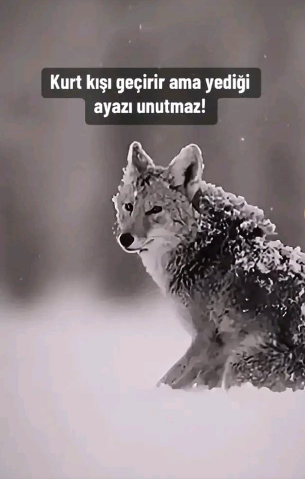 Selamun Aleyküm Reisin kardeşleri Hayırlı Akşamlar