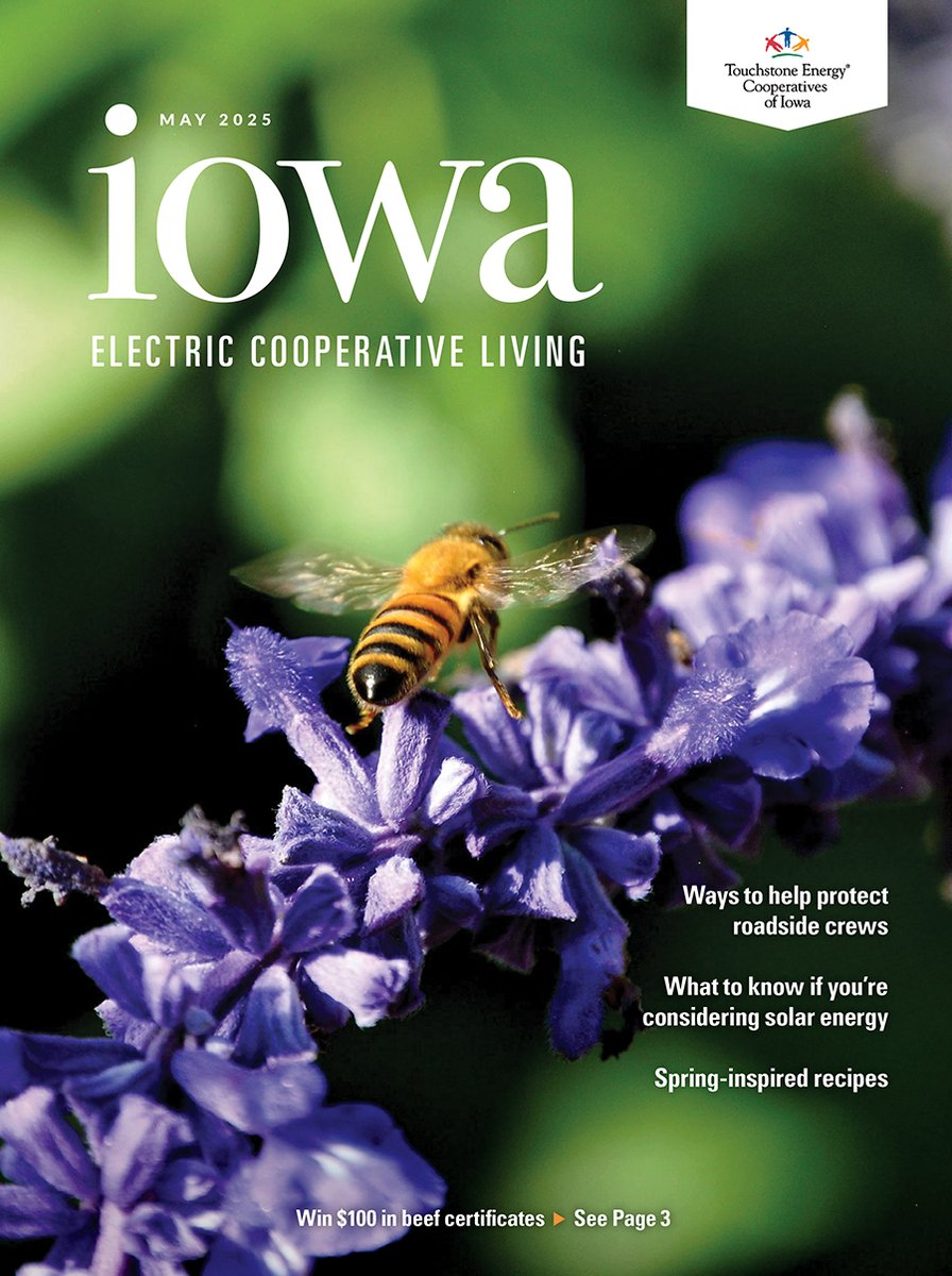Iowa Electric Cooperative Living (@ieclmagazine) on Twitter photo Our May issue should be buzzing into mailboxes next week! Special thanks to Emerson L., a member-consumer of Consumers Energy, for providing such a buzzworthy cover photo! Send us your summer and fall images at editor@IECLmagazine.com and we'll give you $100 if we use your photo! Our May issue should be buzzing into mailboxes next week! Special thanks to Emerson L., a member-consumer of Consumers Energy, for providing such a buzzworthy cover photo! Send us your summer and fall images at editor@IECLmagazine.com and we'll give you $100 if we use your photo!