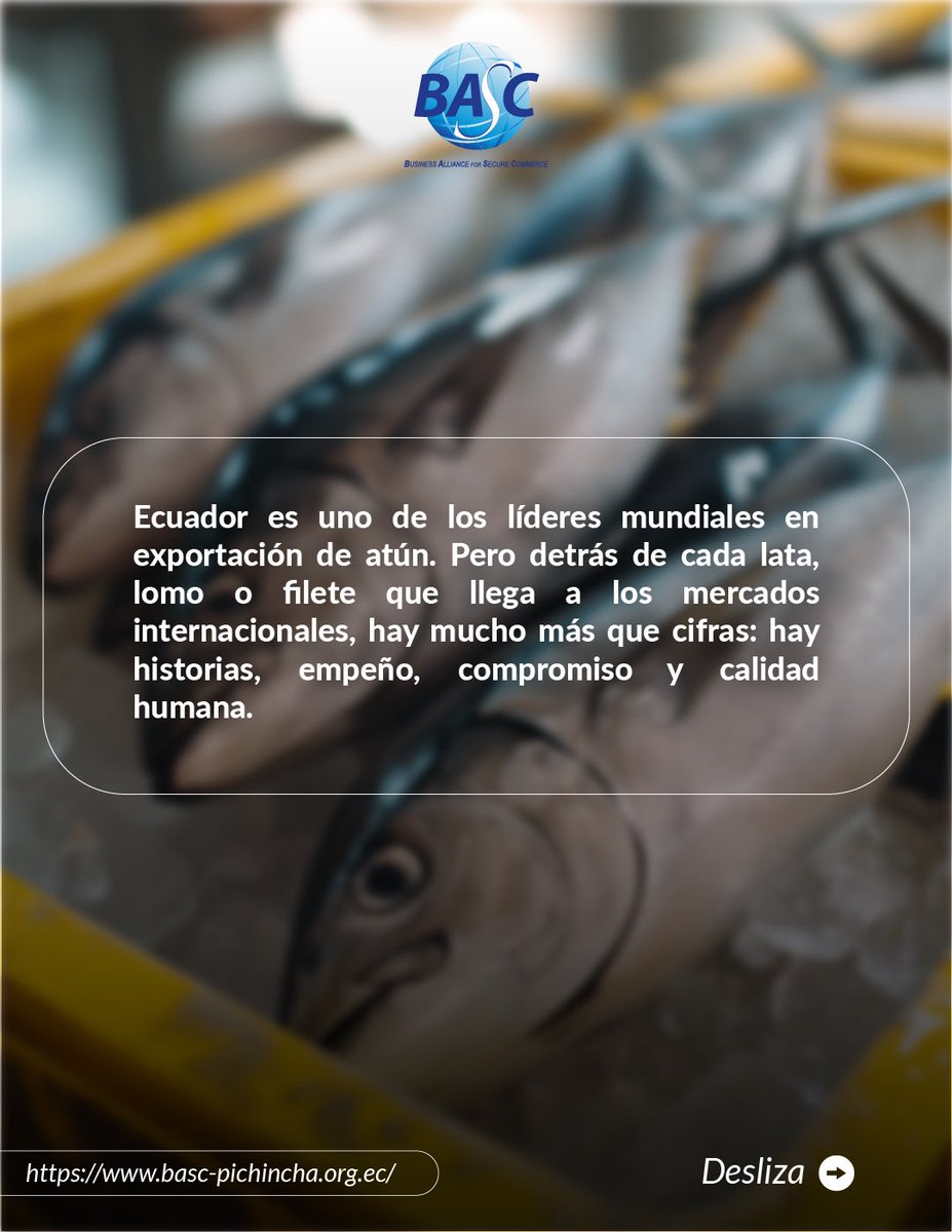 BASC  Pichincha tweet media