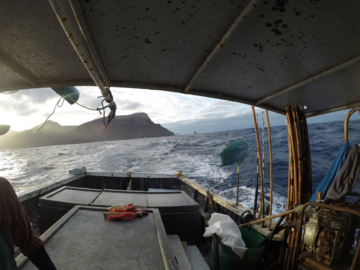 Bigeye tuna are found in Atlantic waters &amp; are an important species for #UKOT fisheries. Our specialists support the work of the International Commission for the Conservation of Atlantic Tunas to sustainably manage these vital stocks. #WorldTunaDay #ICCAT