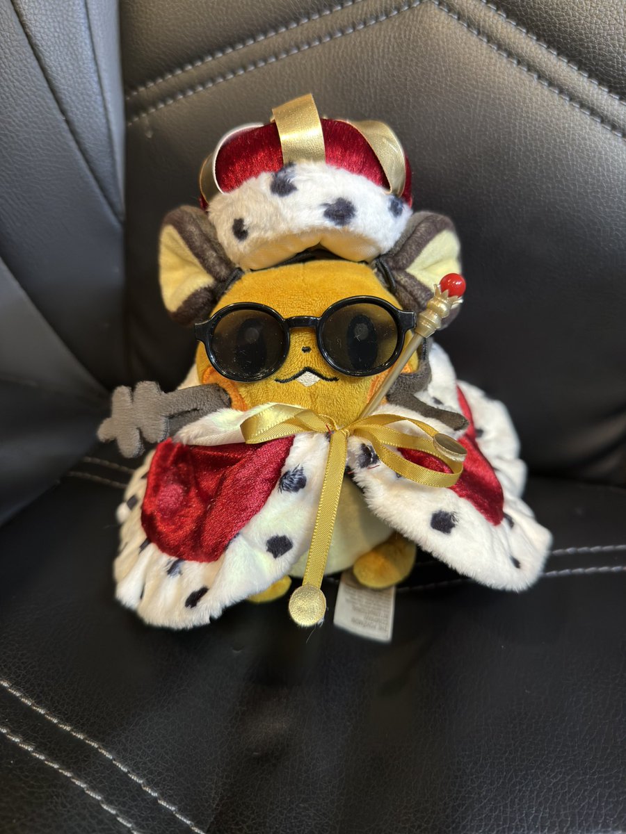 The king stole my work chair 🤣🤣🤣🤣👑🐹🧡✨

Im having too much fun dressing up Dede with all the clothes I got in Japan 🧡😆🐹🙏✨