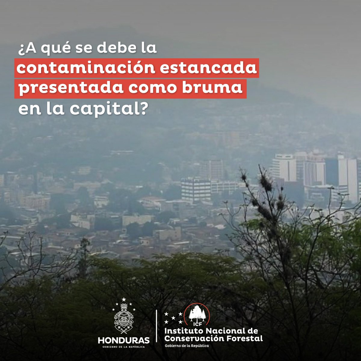 ICFHonduras tweet picture
